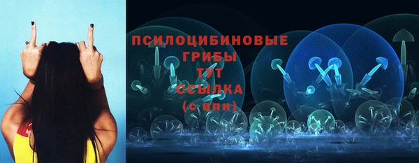 гашик Коряжма