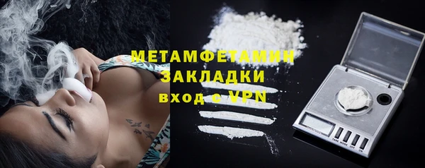 ГАЛЛЮЦИНОГЕННЫЕ ГРИБЫ Козловка