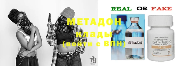 ГАЛЛЮЦИНОГЕННЫЕ ГРИБЫ Козловка