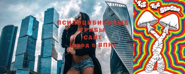 гашик Коряжма