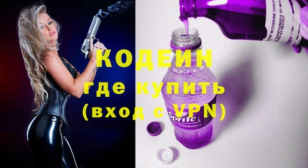 гашик Коряжма