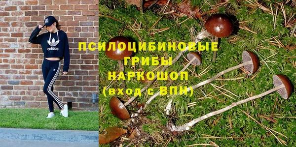 круглые Козельск