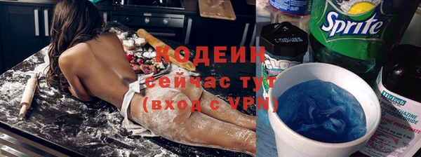 ГАЛЛЮЦИНОГЕННЫЕ ГРИБЫ Козловка