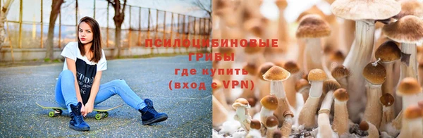 мдпв Костерёво