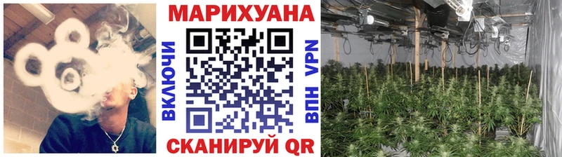 нарко площадка состав Кинешма Канабис марихуана OMG как войти